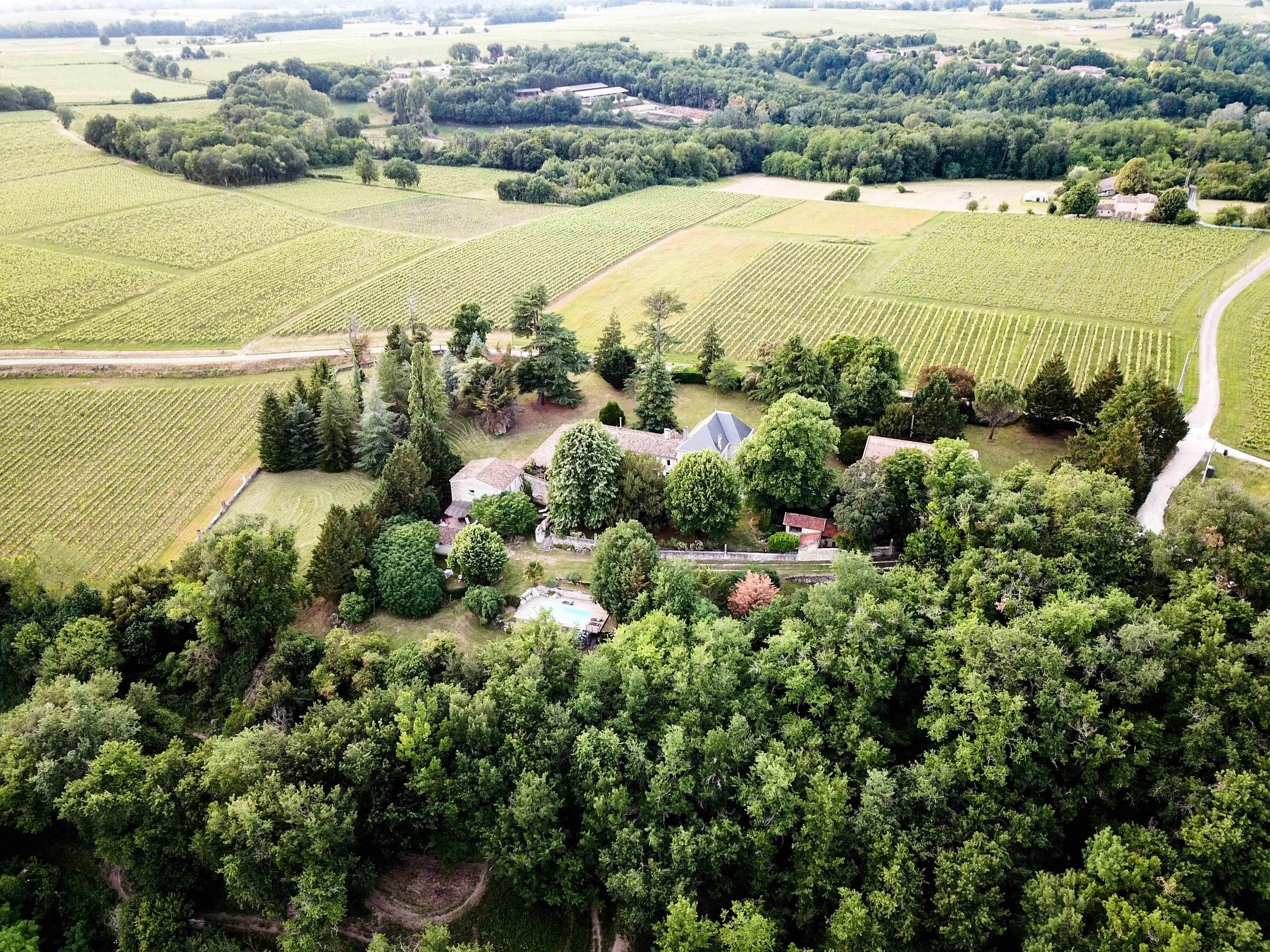 Foret et Vignes Beaufresque